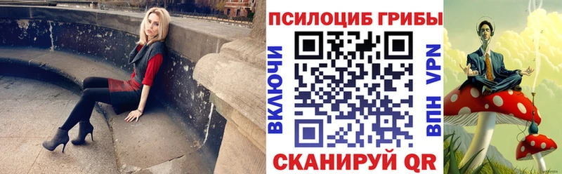 Псилоцибиновые грибы MAGIC MUSHROOMS  наркошоп  Заозёрск 
